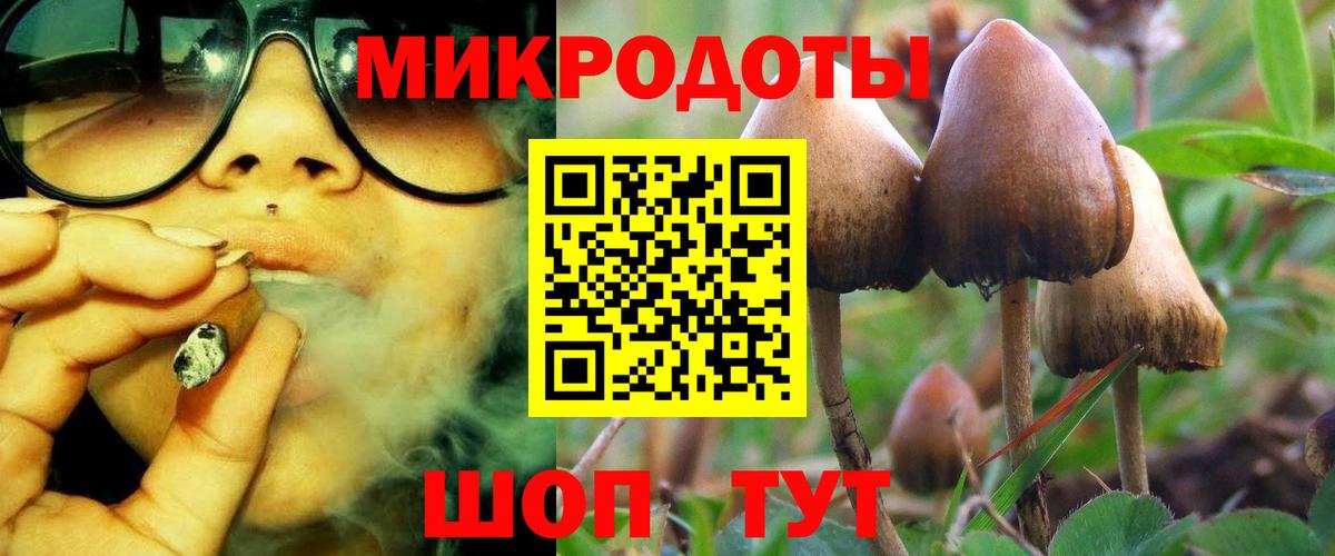 Галлюциногенные грибы Magic Shrooms  Галлюциногенные грибы GOLDEN TEACHER  Вход с VPN  Новомосковск 