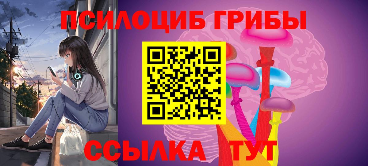 Псилоцибиновые грибы Psilocybe Новомосковск